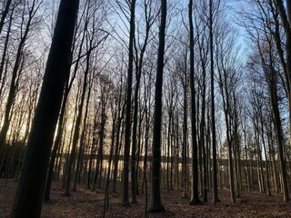 Maison de vacances Vordingborg  29