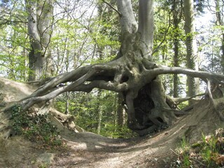 Maison de vacances Vordingborg  30