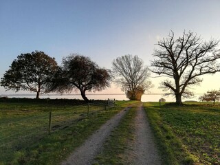 Casa per le vacanze Vordingborg  31