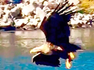 Vakantiehuis Urangsvåg Buitenaudio-opname 11