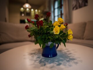 Villa Neuhausen im Erzgebirge  31