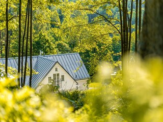 Villa Albrechtice v Jizerských horách Enregistrement extérieur 9