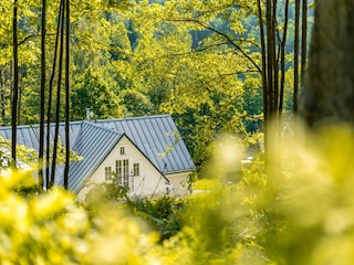 Villa Albrechtice v Jizerských horách Außenaufnahme 13