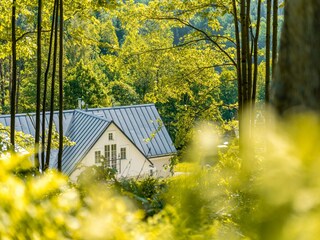 Villa Albrechtice v Jizerských horách Buitenaudio-opname 13