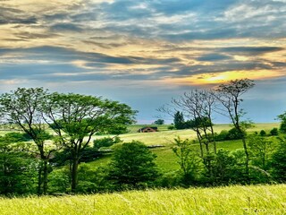 Villa Poniklá Outdoor Recording 11