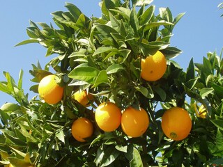 Casa de vacaciones Iznájar  31