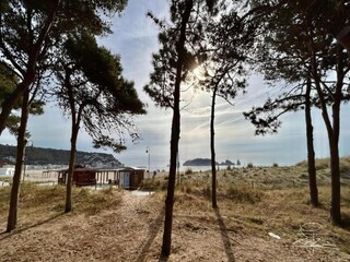 Maison de vacances L'Estartit Environnement 32