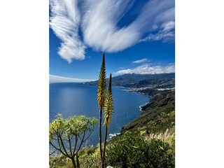 ... mit unvergleichlichen Aussichten