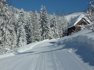 Pension Gewessler, Skiabfahrt nach Bad Mitterndorf