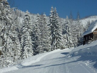 Piste,Appartement-Pension Ludwig Gewessler