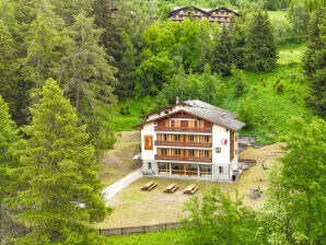 Chalet de l'Ours AUTHENTIC & NATURE 66 pers,