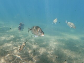 Apartment Las Palmas Außenaufnahme 1
