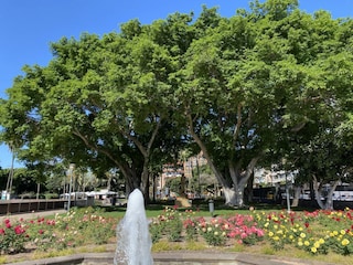 Ferienhaus Las Palmas Außenaufnahme 4