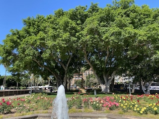 Ferienhaus Las Palmas Außenaufnahme 12