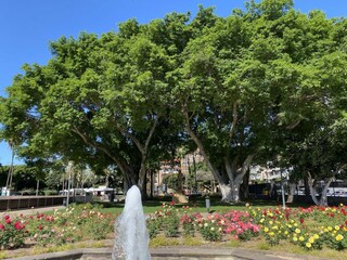 Vakantiehuis Las Palmas Buitenaudio-opname 12