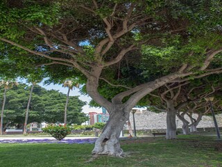 Vakantiehuis Las Palmas Omgeving 19