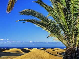 Vakantiehuis Las Palmas Buitenaudio-opname 8