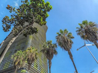 Apartamento Las Palmas Grabación al aire libre 4