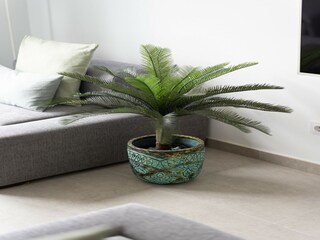 Casa per le vacanze Las Palmas  49