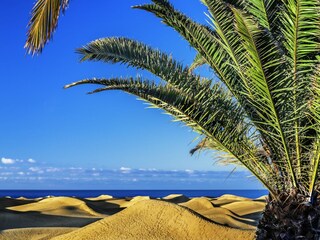 Vakantiehuis Playa del Inglés Buitenaudio-opname 8
