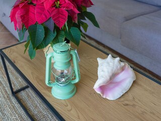Maison de vacances Ingenio  32