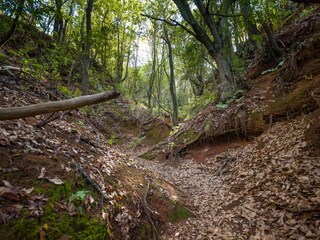 Vakantiehuisje Teror Buitenaudio-opname 10