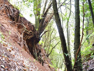 Maison de vacances Teror Enregistrement extérieur 11