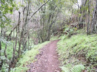 Holiday cottage Teror Outdoor Recording 11