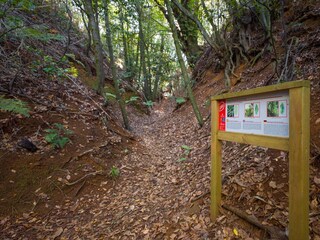 Holiday cottage Teror Outdoor Recording 4