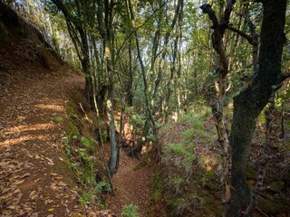Cottage Teror Außenaufnahme 7