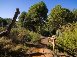 Holiday cottage Teror  50