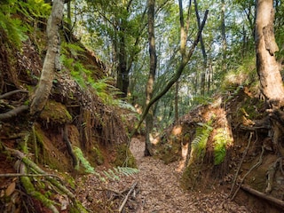 Vakantiehuisje Teror Buitenaudio-opname 16