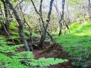 Cottage Teror Außenaufnahme 18