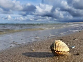 Casa de vacaciones Hirtshals Grabación al aire libre 18