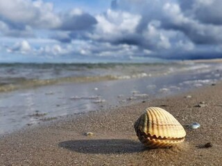Holiday house Hirtshals Outdoor Recording 3