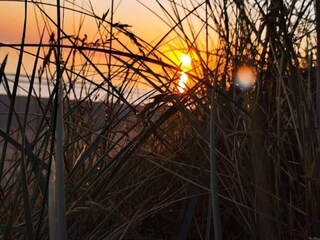 Holiday house Hirtshals Outdoor Recording 32