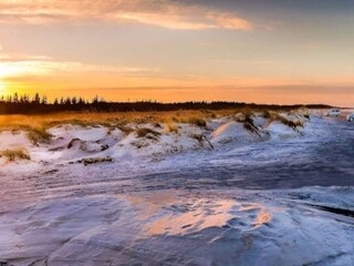 Vakantiehuis Hirtshals Buitenaudio-opname 6