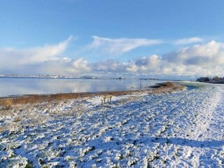 Vakantiehuis Hirtshals Buitenaudio-opname 8