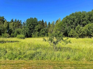 Ferienhaus Stockholm Außenaufnahme 8
