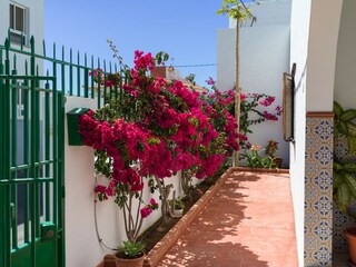 Chalet Agaete Buitenaudio-opname 17