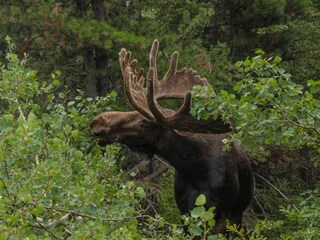 Ferienhaus Vänersborg  21