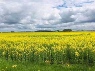 Ferienhaus Vänersborg  7
