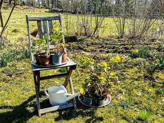 Vakantiehuis Skällinge  8