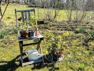 Ferienhaus Skällinge  9