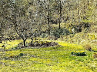 Vakantiehuis Skällinge  14