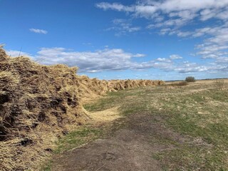 Ferienhaus Bork Havn Außenaufnahme 5