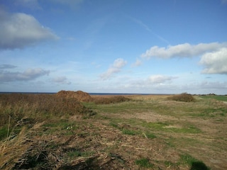 Vakantiehuis Bork Havn  31