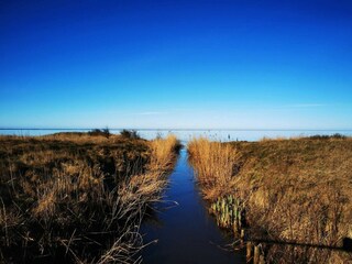 Vakantiehuis Bork Havn Buitenaudio-opname 2