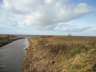 Ferienhaus Bork Havn  17