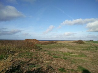 Ferienhaus Bork Havn  19